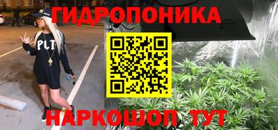 прущие крисы Гусев
