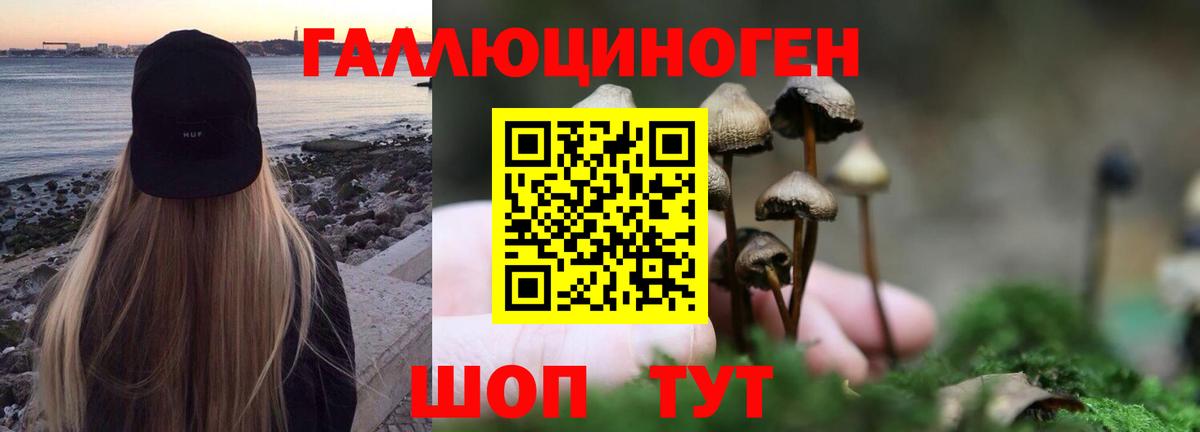 Псилоцибиновые грибы мицелий  Псилоцибиновые грибы ЛСД  Вход с VPN  Михайловск 